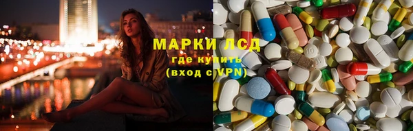 гидра Чегем
