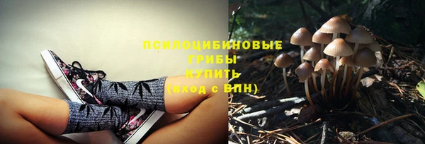 гидра Чегем