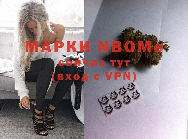 гидра Чегем