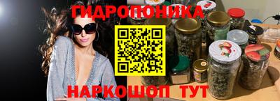 шишки Будённовск