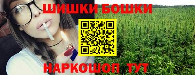 шишки Будённовск