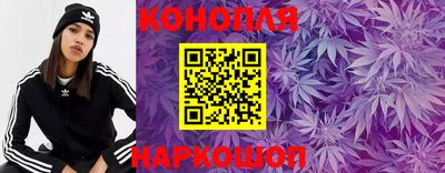 шишки Будённовск
