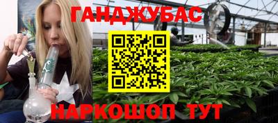 шишки Будённовск