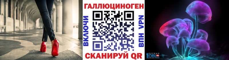 Галлюциногенные грибы Psilocybe  дарнет шоп  Ессентуки 