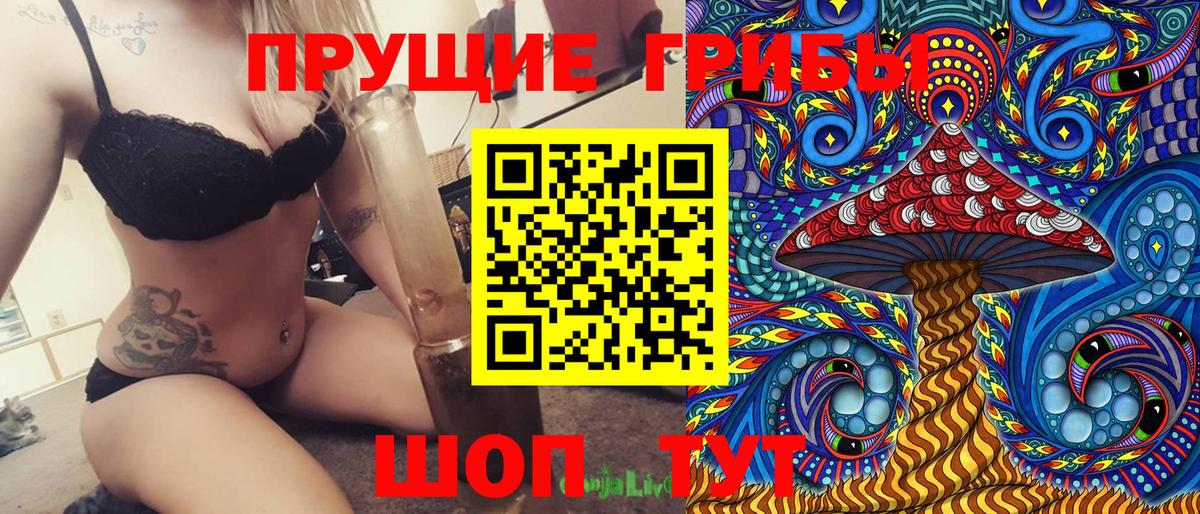 Псилоцибиновые грибы ЛСД  Псилоцибиновые грибы мицелий  где продают   Ессентуки 