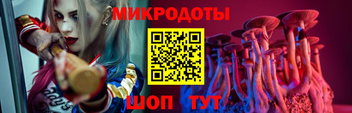 Галлюциногенные грибы мухоморы Ессентуки